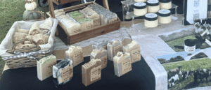 BD Arts and Crafts in the Park